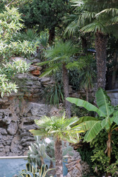 Similar image 22289669