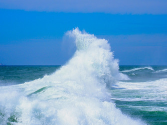 Similar image 22289581