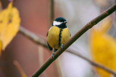 Similar image 22287617