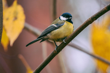 Similar image 22287618