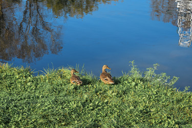 Similar image 22289215