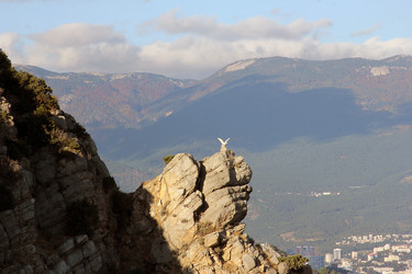 Similar image 22289590