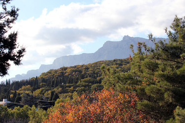 Similar image 22289592