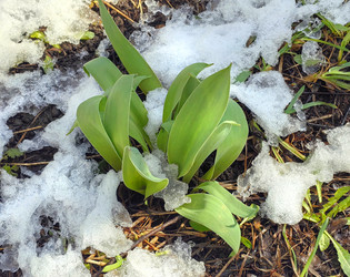 Similar image 22289220