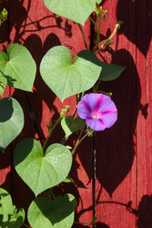 Similar image 22289222