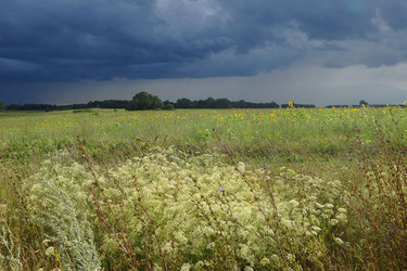 Similar image 22289223