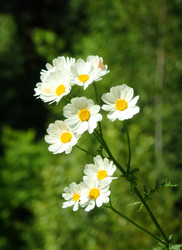 Similar image 22289225