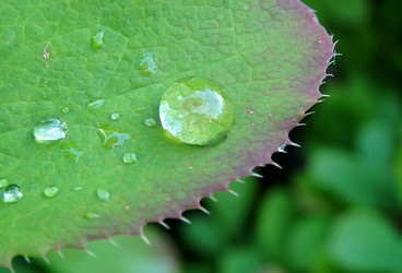 Similar image 22289231