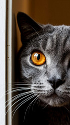 Similar image 22289254