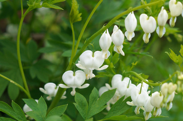 Similar image 22289269