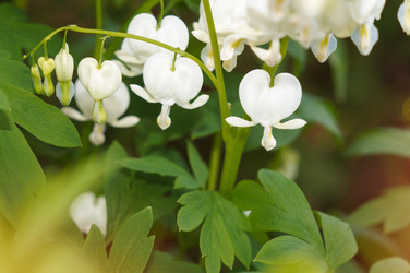 Similar image 22289270