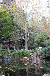 Similar image 22289622