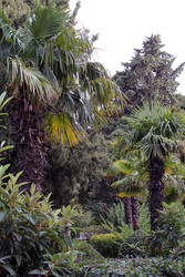 Similar image 22289624