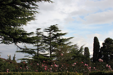 Similar image 22289625