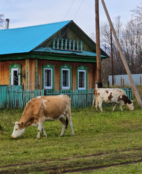 Similar image 22289284