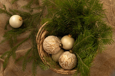 Similar image 22289760