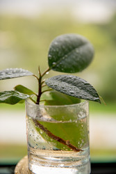 Similar image 22289294