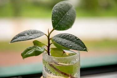 Similar image 22289295