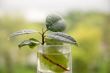 Similar image 22289296