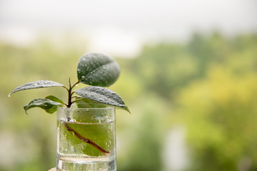 Similar image 22289297