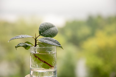 Similar image 22289298