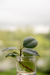 Similar image 22289299