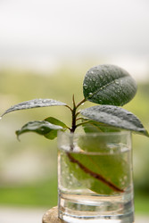 Similar image 22289300