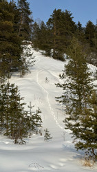 Similar image 22289792