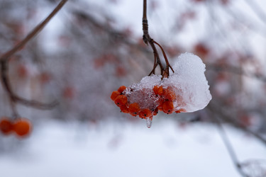 Similar image 22289794