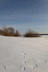 Similar image 22289804