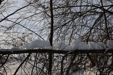 Similar image 22289809