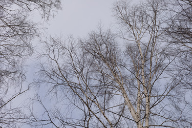 Similar image 22289817