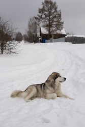 Similar image 22289823