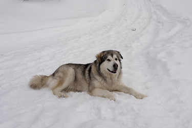 Similar image 22289825