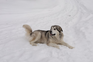 Similar image 22289826