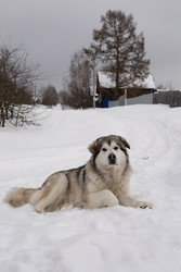 Similar image 22289827