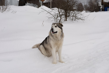 Similar image 22289828