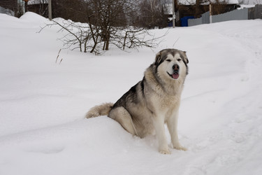 Similar image 22289829