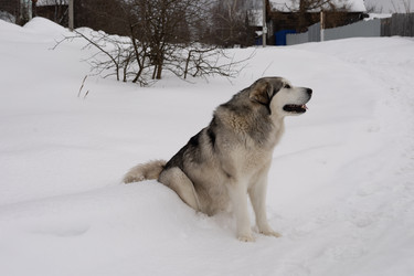 Similar image 22289830