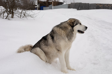 Similar image 22289831