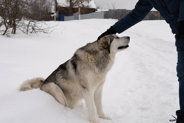 Similar image 22289832