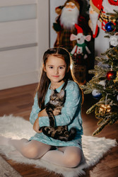 Similar image 22289307