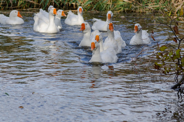 Similar image 22289321