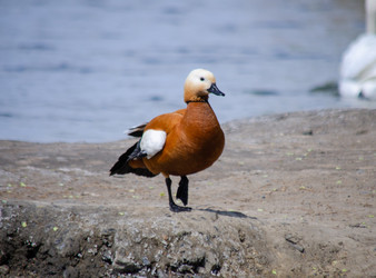 Similar image 22289322