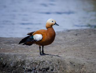 Similar image 22289323