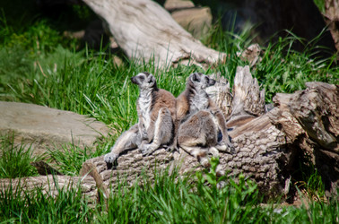 Similar image 22289324