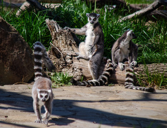 Similar image 22289325