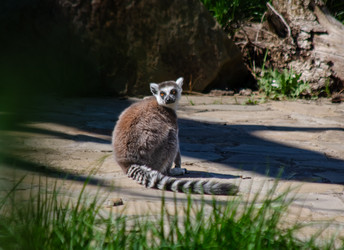 Similar image 22289326