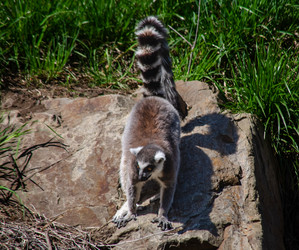 Similar image 22289327