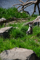 Similar image 22289328